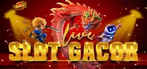 Dragon888 Mega
